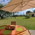 In With Pool & Forest Casa vacanze Montelabbate