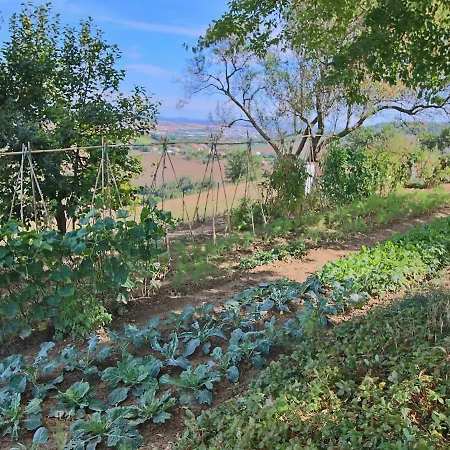 In With Pool & Forest 別荘 *