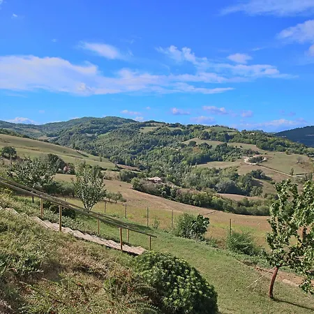 Casa vacanze In With Pool & Forest