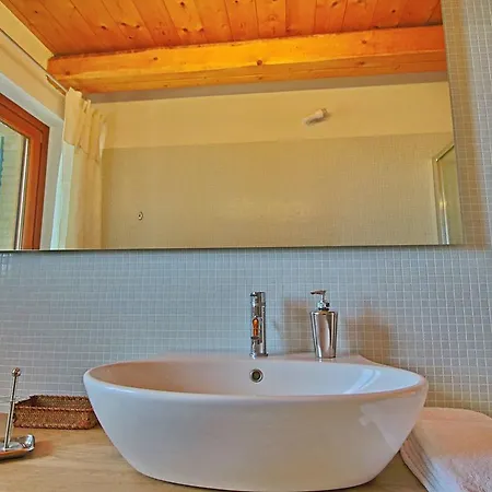 In With Pool & Forest *