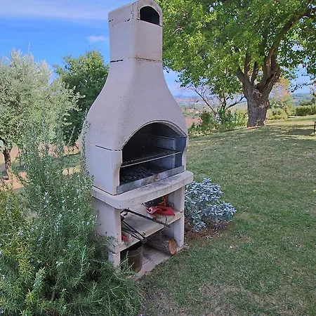 In With Pool & Forest *